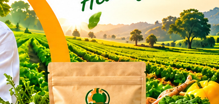 Organic Honey & Turmeric Pack